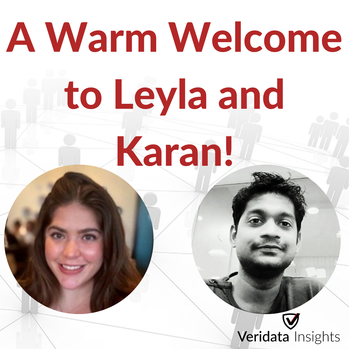 Leyla Akin and Karan Jaiswar Veridata Insights