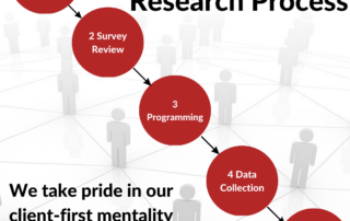 Veridata Insights' Market Research Process