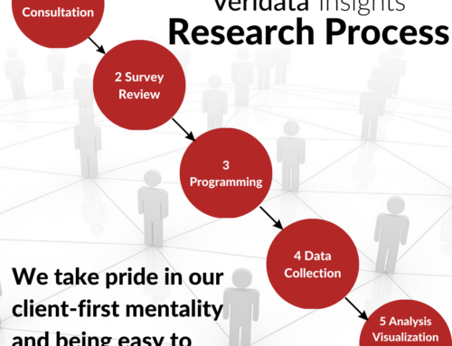 Veridata Insights’ Market Research Process