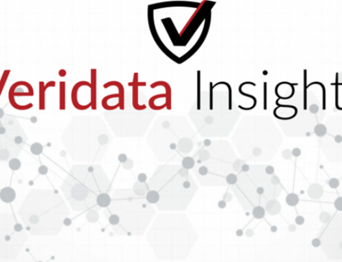 Veridata Insights’ Market Research Services