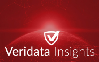 We Are Veridata Insights