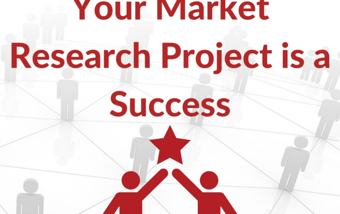 How Veridata Insights Ensures Your Market Research Project Is A Success