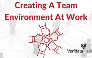 Veridata Insights Creating a Team Environment at Work