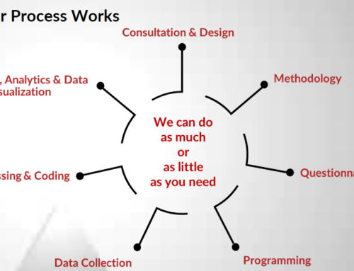 Video: Veridata Insights – How Our Process Works