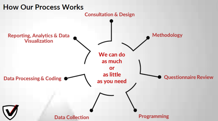 Veridata Insights - How Our Process Works