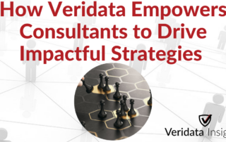 How Veridata Insights Empowers Consultants to Drive Impactful Strategies 