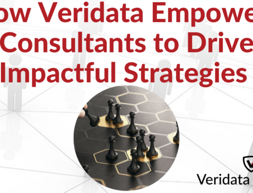 How Veridata Insights Empowers Consultants to Drive Impactful Strategies 