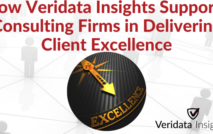 How Veridata Insights Supports Consulting Firms in Delivering Client Excellence