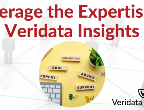 Leverage the Expertise of Veridata Insights