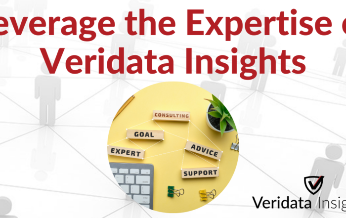 Leverage the Expertise of Veridata Insights