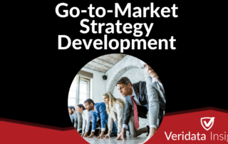 Go-to-Market Strategy Development