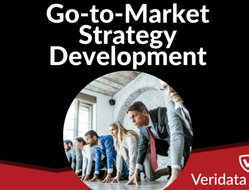 Go-to-Market Strategy Development