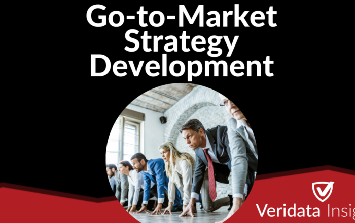 Go-to-Market Strategy Development