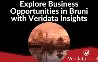 Explore Business Opportunities in Bruni with Veridata Insights