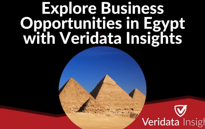 Explore Business Opportunities in Egypt with Veridata Insights