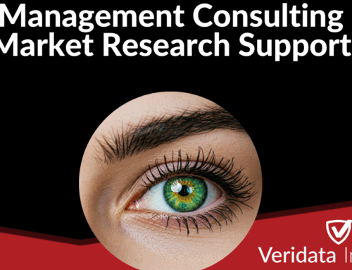 Management Consulting Market Research Support