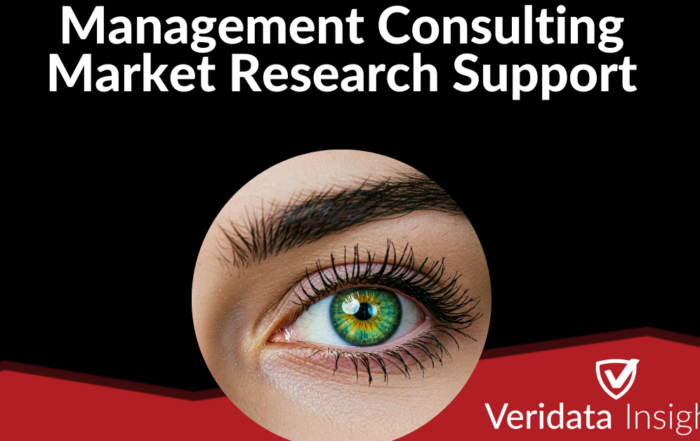 Management Consulting Market Research Support