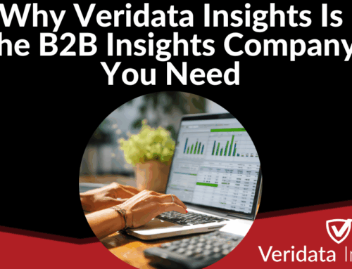 Why Veridata Insights Is the B2B Insights Company You Need
