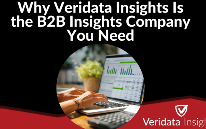 Why Veridata Insights Is the B2B Insights Company You Need