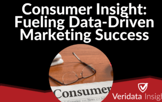 Consumer Insight: Fueling Data-Driven Marketing Success