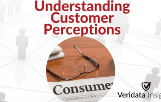 Understanding Customer Perceptions How Veridata Insights Helps You See Your Product Through Their Eyes