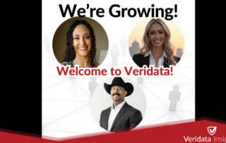 Welcoming New Account Directors to the Veridata Insights Team