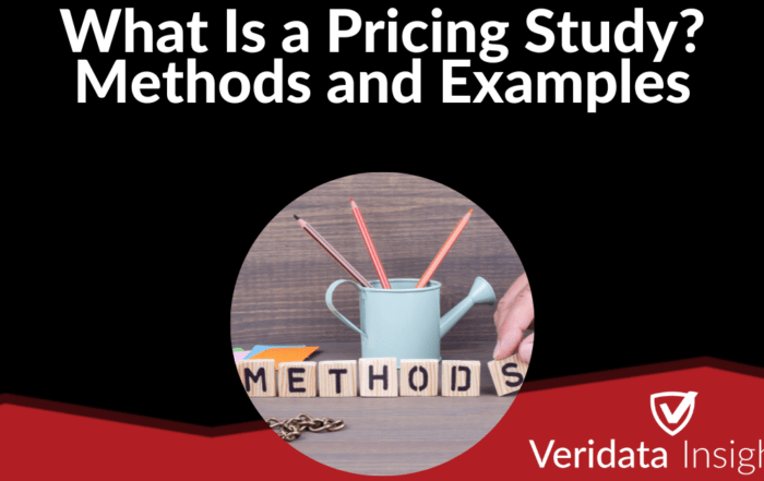 What Is a Pricing Study? Methods and Examples