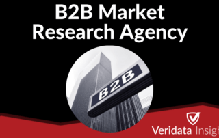 B2B Market Research Agency