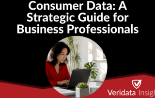 Consumer Data: A Strategic Guide for Business Professionals