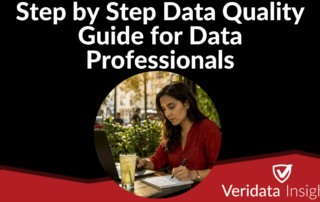 Step by Step Data Quality Guide for Data Professionals