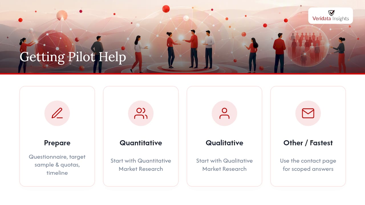 How Do You Get Help Running a Soft Launch Pilot? — overview diagram