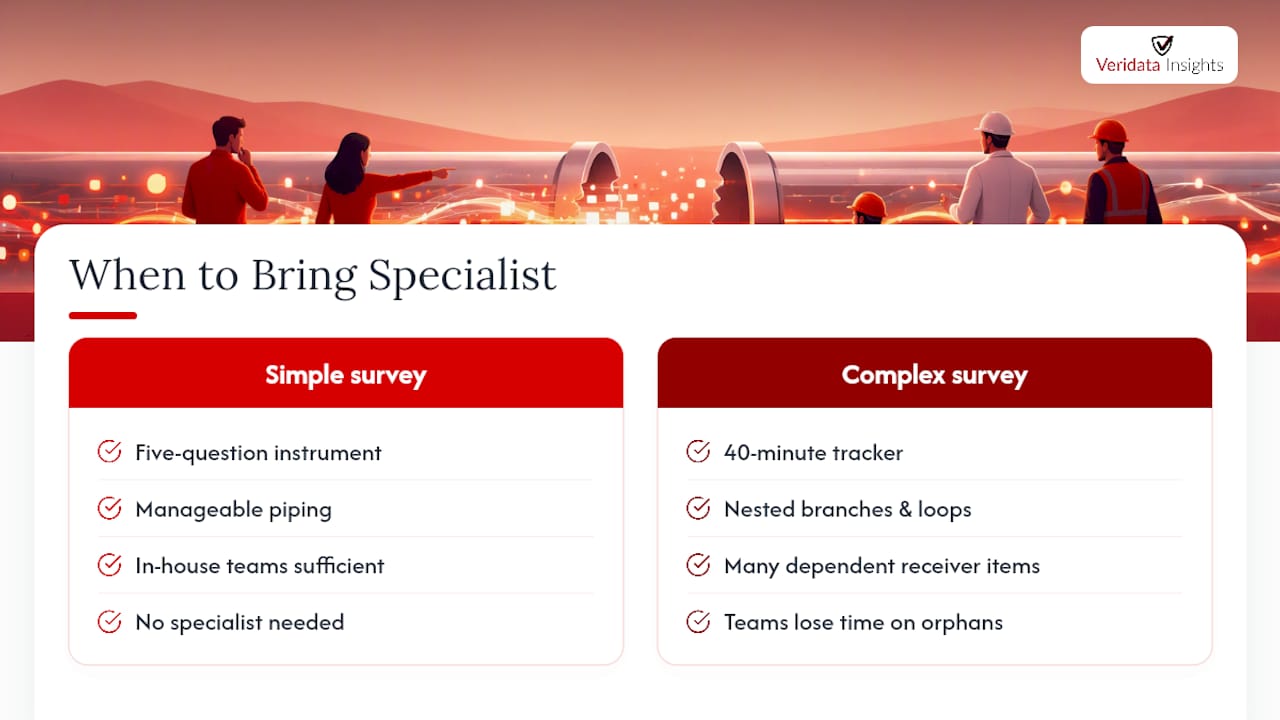 When Should You Bring In a Programming Specialist? — overview diagram
